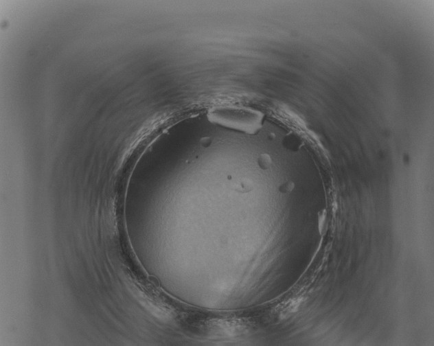 X0000068820250200605121323