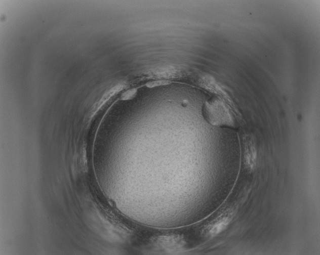 X0000068820251200605121323