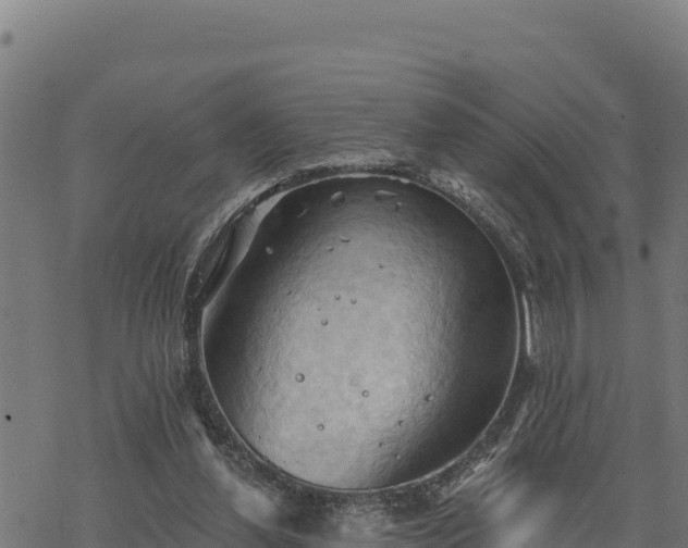 X0000068820252200605121323