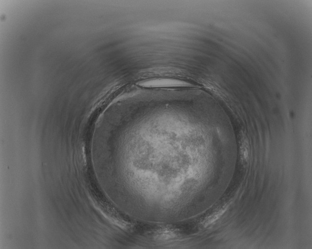 X0000068820254200605121323