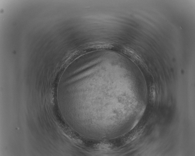 X0000068820255200605121323