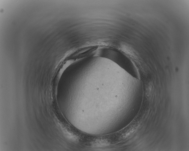 X0000068820256200605121323