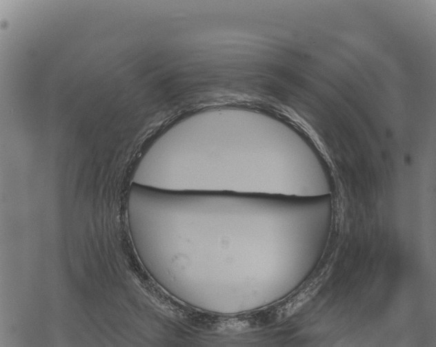 X0000068820257200605121323