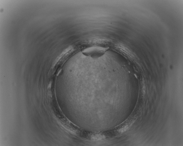 X0000068820258200605121323