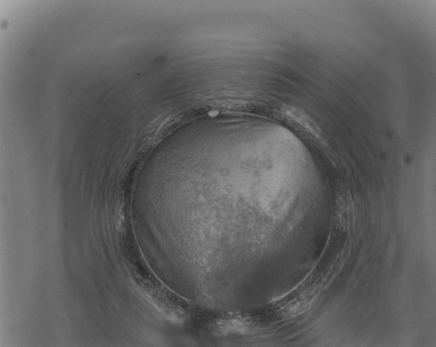 X0000068820259200605121323