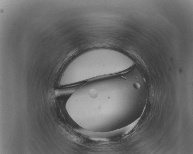 X0000068820260200605121323