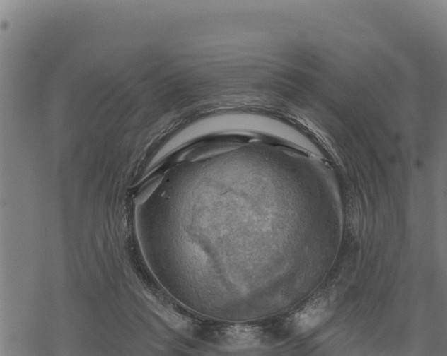 X0000068820261200605121323