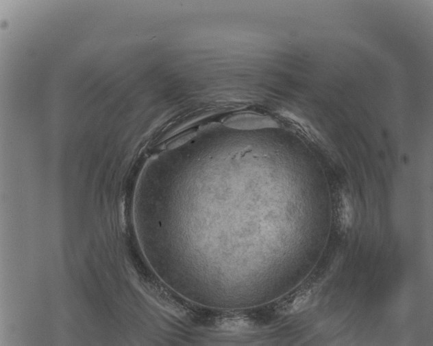 X0000068820262200605121323