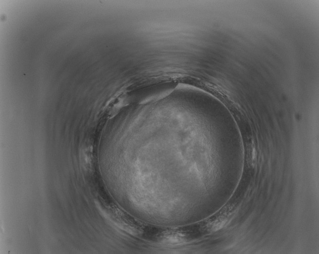 X0000068820263200605121323