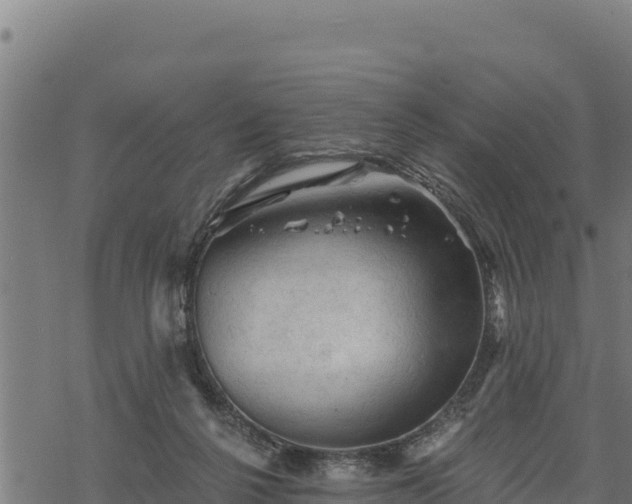 X0000068820264200605121323