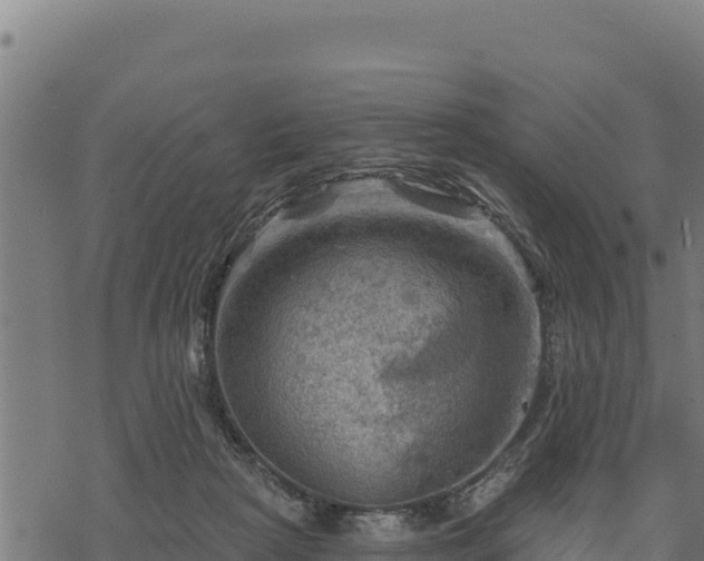 X0000068820265200605121323