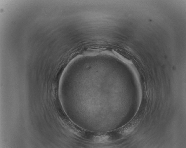 X0000068820266200605121323