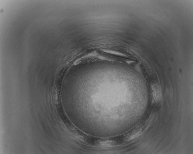 X0000068820268200605121323