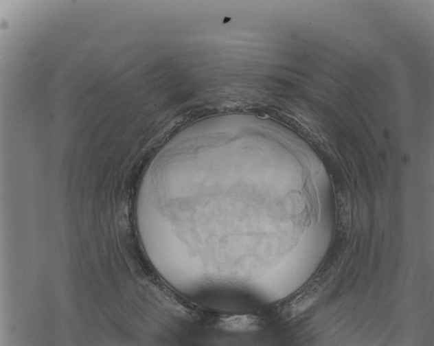 X0000068820269200605121323