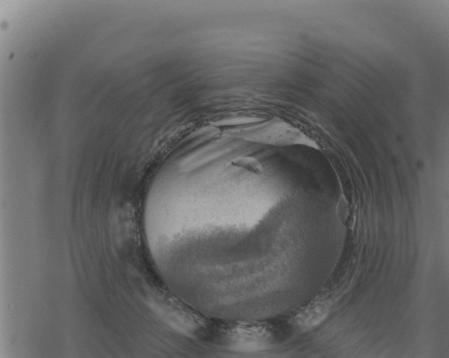 X0000068820270200605121323