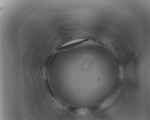 X0000068820273200605121323