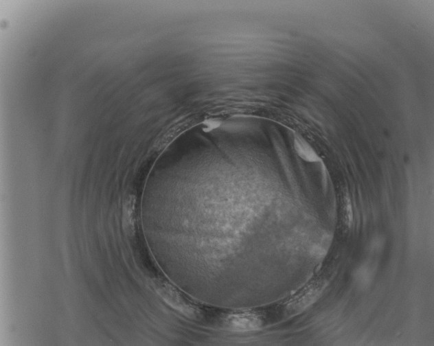 X0000068820275200605121323