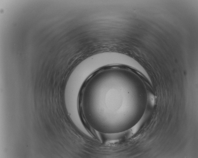 X0000068820276200605121323