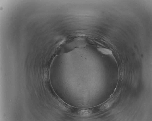 X0000068820277200605121323