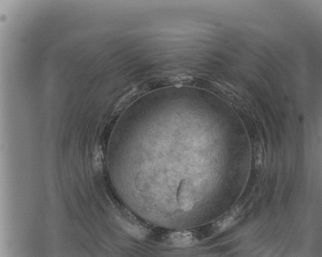 X0000068820279200605121323