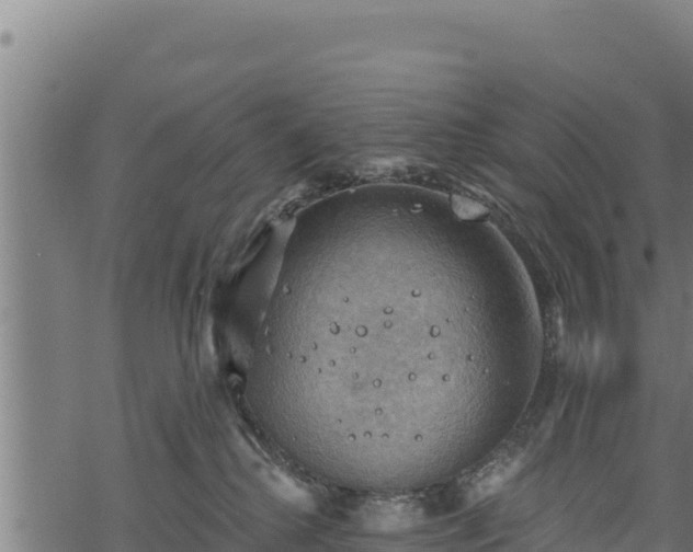 X0000068820280200605121323