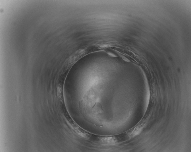 X0000068820281200605121323