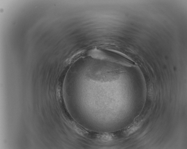 X0000068820282200605121323