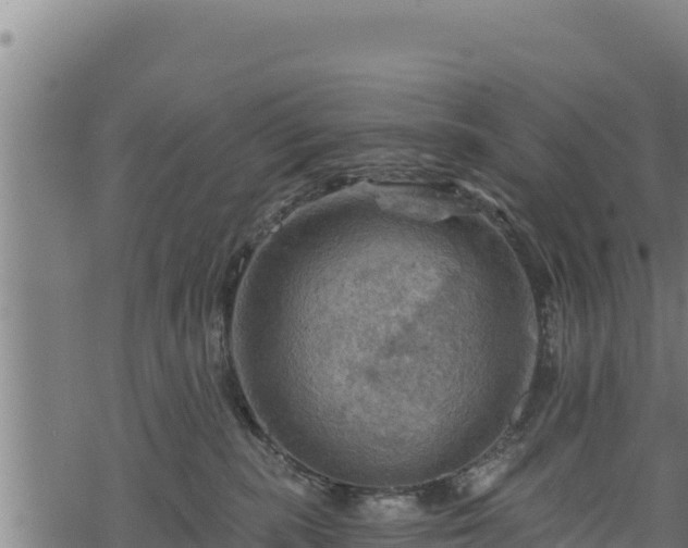 X0000068820283200605121323