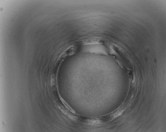 X0000068820284200605121323