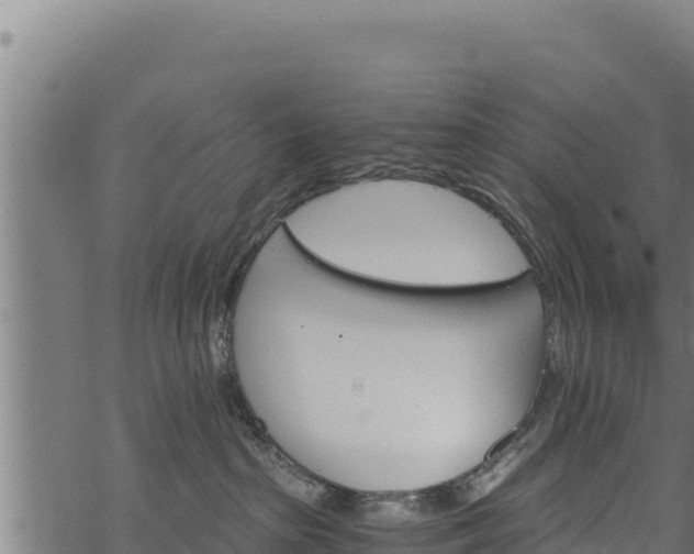 X0000068820285200605121323