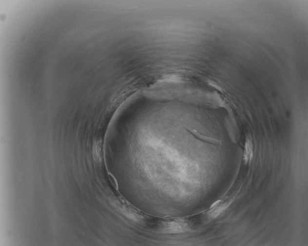 X0000068820286200605121323