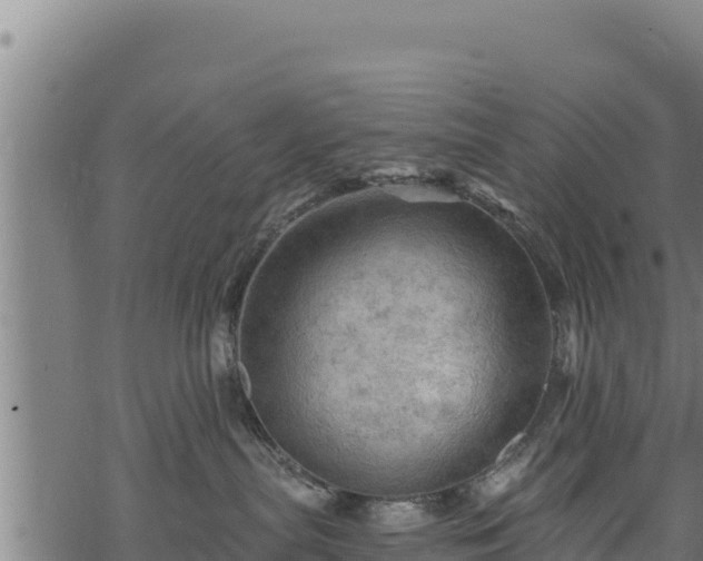 X0000068820287200605121323