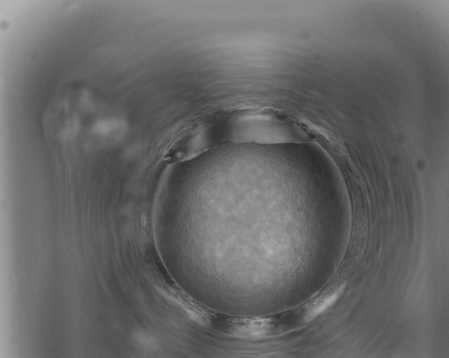 X0000068820288200605121324