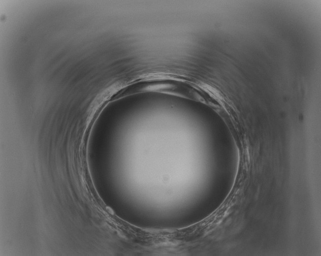 X0000068820289200605121323