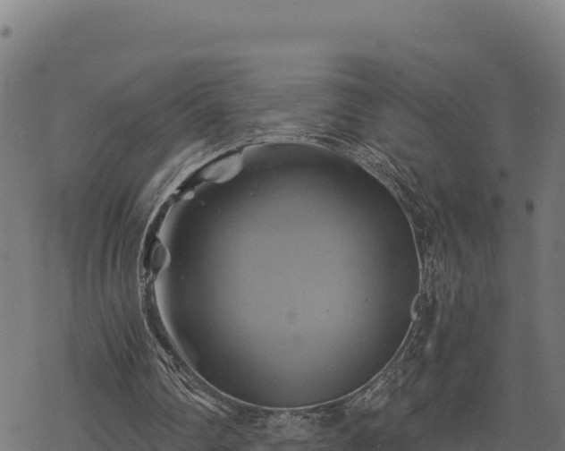 X0000068820290200605121323