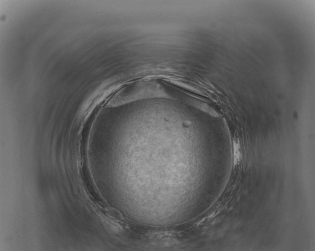 X0000068820291200605121323