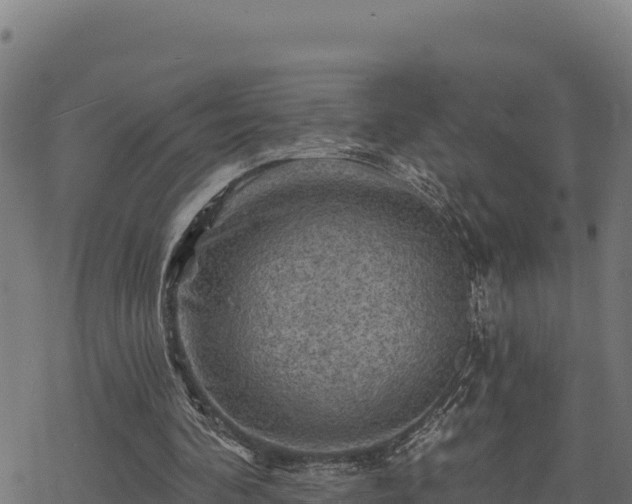 X0000068820292200605121323