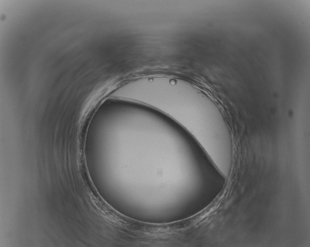 X0000068820293200605121323