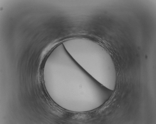 X0000068820294200605121323