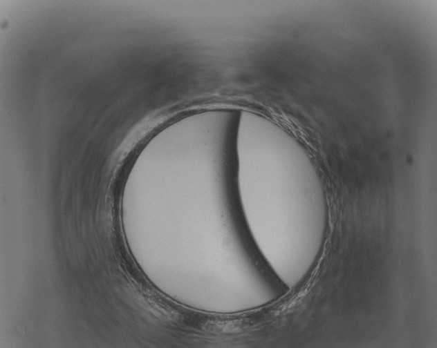 X0000068820295200605121323