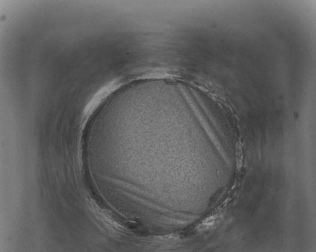 X0000068820296200605121323