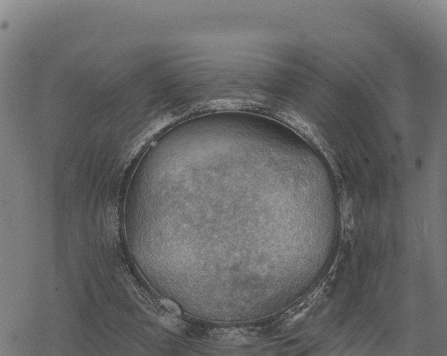 X0000068820297200605121323