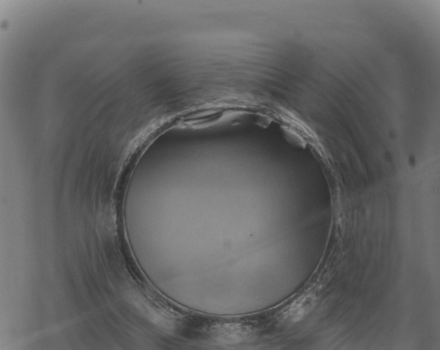 X0000068820298200605121323