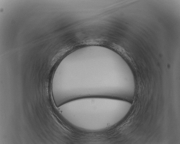 X0000068820299200605121323