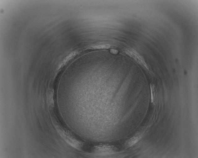 X0000068820300200605121323