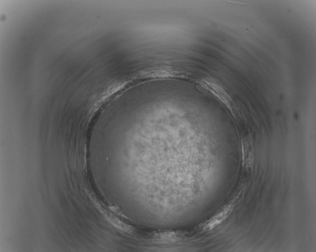 X0000068820301200605121323