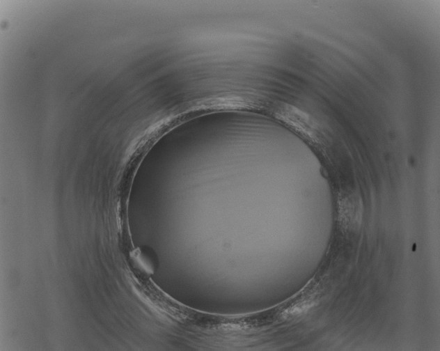 X0000068820302200605121323