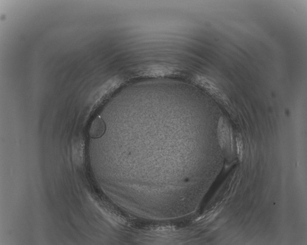 X0000068820304200605121322