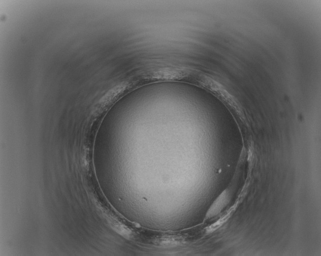 X0000068820305200605121322