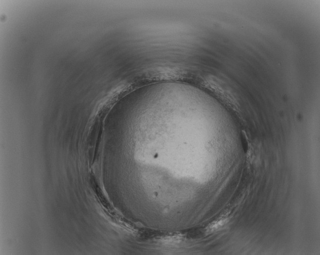 X0000068820306200605121322